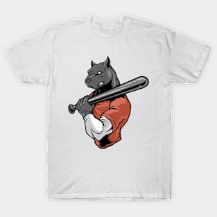 Baseball Softball Funny Graphic Art T-Shirt